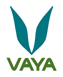 Vaya